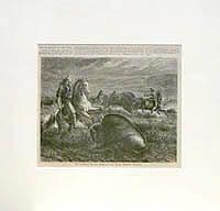 The Guardians of the Herd…