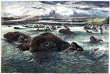 Indians Killing Buffalo in the Missouri River