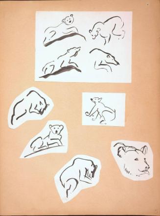 Polar Bear Sketches