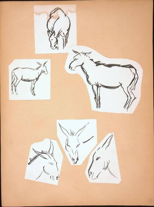 Donkey Sketches