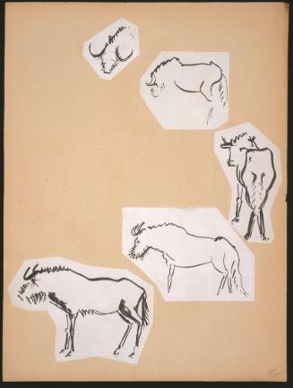 Wildebeest Sketches