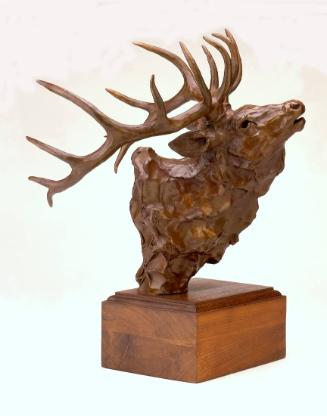 Bull Elk Bust