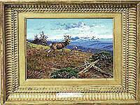 Deer Family at Sunrise