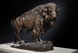 Elk Buffalo (Monarch of the Plains)