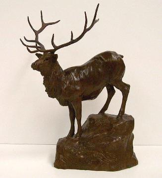 Season of the Elk