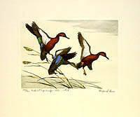 Federal Duck Stamp Design