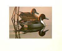 Federal Duck Stamp Design