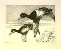 Federal Duck Stamp Design, 1954