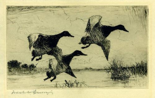 Federal Duck Stamp Design, 1942