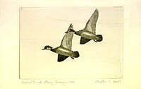 Federal Duck Stamp Design, 1943