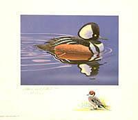Federal Duck Stamp Design