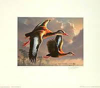 Federal Duck Stamp Design