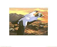 Federal Duck Stamp Design