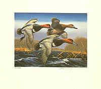 Federal Duck Stamp Design