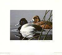 Federal Duck Stamp Design