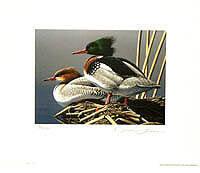 Federal Duck Stamp Design