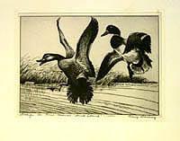 Federal Duck Stamp Design, 1934