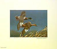 Federal Duck Stamp Design