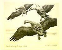 Federal Duck Stamp Design, 1944