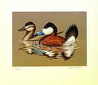 Federal Duck Stamp Design