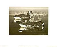 Federal Duck Stamp Design