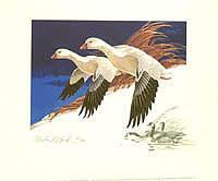 Federal Duck Stamp Design