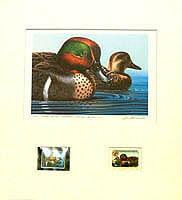 Federal Duck Stamp Design