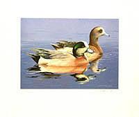 Federal Duck Stamp Design