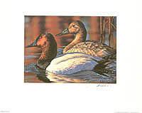 Federal Duck Stamp Design