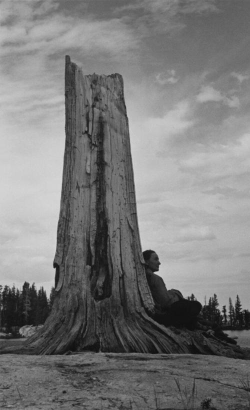 Untitled (Georgia O'Keeffe and Tree)