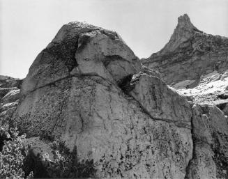 Cockscomb Crest