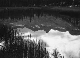 Lyell Fork of Merced River