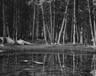 By Lyell Fork