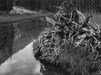Lyell Fork