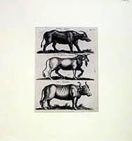 Natural History Plates