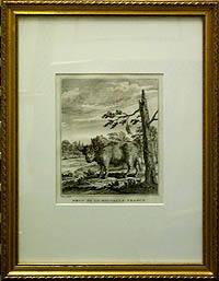 Father Louis Hennepin