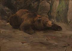 Lying Bear