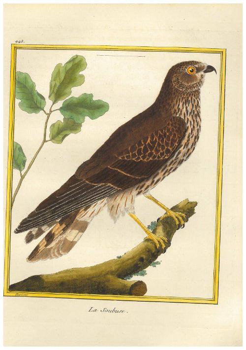 La Soubuse