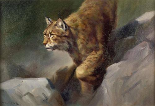 Lynx