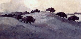 Buffalo