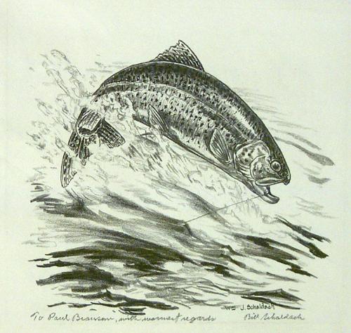 Rainbow Trout