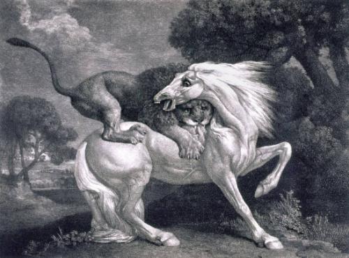 A Horse Attacked by a Lion