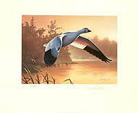 Federal Duck Stamp Design