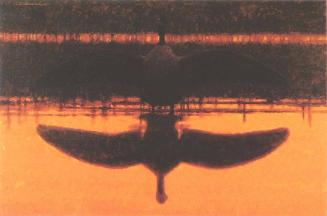 Waterbird