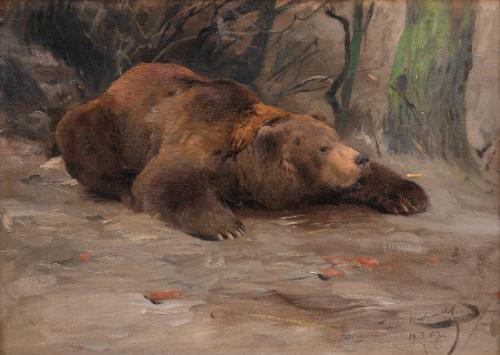 Lying Bear
