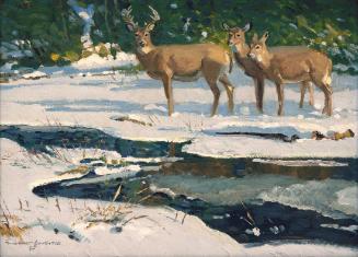 By the Open Stream