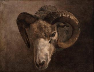 Ram's Head