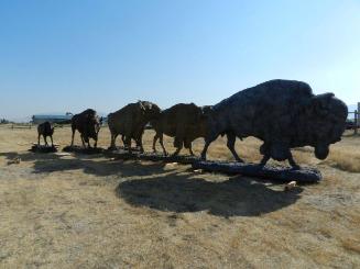 The Buffalo Trail