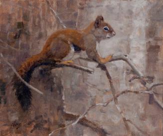 A Wildlife Miniature