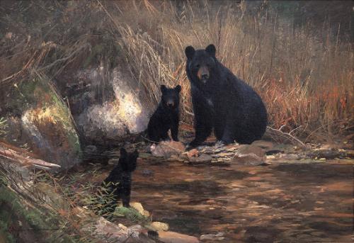 Black Bears by Stream